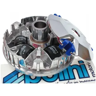 Polini kids Variomatik Speed Control für Kymco 50cc 4-Takt