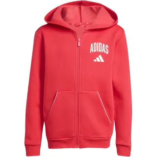 adidas Unisex Kids Seasonals Collegiate Typography Hoody, Pure Ruby/Off White, 9-10 Years