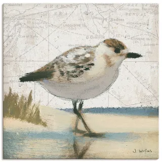 Artland Leinwandbild "Möwe I" Vögel 1 Stk. tlg. auf Holzrahmen gespannt, farbe bild(er): braun