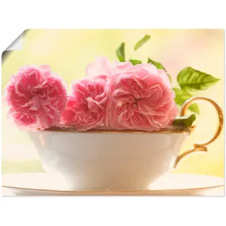 Artland Wandbild "Vintage Rosen" Blumen 1 Stk. tlg. als Leinwandbild, Poster in verschied. Größen, farbe bild(er): pink