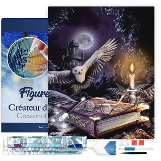 Figured'Art Diamond Painting Erwachsene 40x50cm Mit Rahmen Ganze Leinwand gespannt Magische Eule 5D Bilder Eckige Steine - DIY Set Basteln