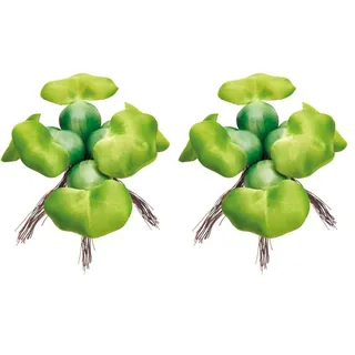 Pontec PondoHyacinth - schwimmende Teich-Hyazinthe für die Wasseroberfläche/Teichdekoration aus wetterfestem Kunststoff, Grün (Packung mit 2)
