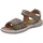 Sparkle Beige 31