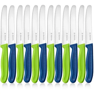 targzier Frühstücksmesser Set 12 Stück, Edelstahl Tafelmesser,Langlebiges Brotmesser,Kunststoffgriff Tomatenmesser Wellenschlif,Bunt Brotzeitmesser,Scharf Messer,Blau und Grün Schneidemesser