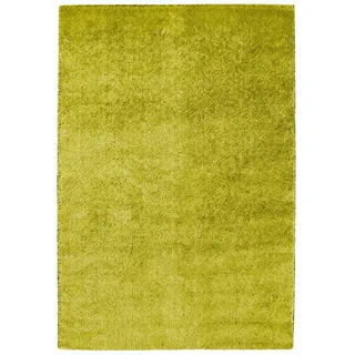 Arte Espina Swing 8100 Hochflorteppich 120 x 180 cm Hellgrün