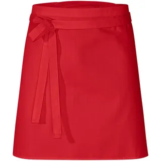 DESERMO 5er Set Premium Vorbinder Schürze 50x80cm Kochschürze (Rot)