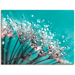 Artland Wandbild »Glitzernde Pusteblume I«, Blumen, (1 St.), als Leinwandbild, Poster in verschied. Größen, blau