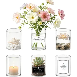 6 Stück Glaszylinder Vase Kleine,8×6.5cm Glasvasen Zylindervasen für Tischdeko,Windlicht Glas,Glaszylinder für Kerzen Vasen Glasvase Zylinder Kerzenhalter Tischvase für Wohnzimmer Wedding Decoration