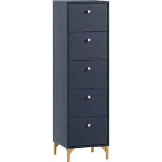 Schildmeyer Alfa 40,1 x 142 x 40 cm Blau