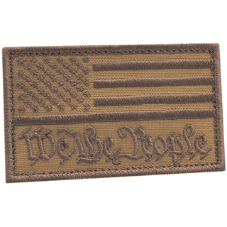 Coyote American We The People 2x3.25 USA Flag Declaration Independence 2A Morale Touch Fastener Cap Patch