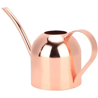 Mini Gießkanne 500ml aus Edelstahl, Langmund Streutopf für Zimmerpflanzen, Balkonpflanzen und Garten, Gießkanne in Roségold für Innen- und Außenbereich