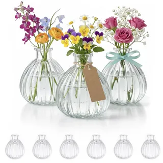 casavetro 6 Kleine Blumen Vasen Deko – Blumenvasen Klein Tischdeko – Glasvase Gläschen Geburtstag Kommunion Hochzeit Dekoration Vasen Tischblumen Schmale Blumenvase