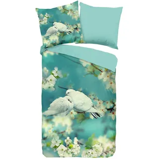 Good Morning Loving Taube Türkis 135 x 200 cm + 80 x 80 cm