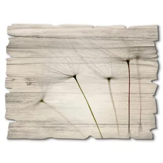 Artland Holzbild »Pusteblumen-Samen I« Blumen 1 Stk. tlg., grau