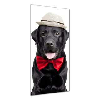 Wallario selbstklebende Duschrückwand 70 x 190 cm mit Motiv Schwarzer Labrador Retriever mit roter Fliege und Mütze - Wandverkleidung mit Hochglanzlaminat in Glasoptik