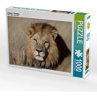 CALVENDO Puzzle Löwen – Pascha 1000 Teile Puzzle quer | Lege-Größe cm Foto-Puzzle für glückliche Stunden