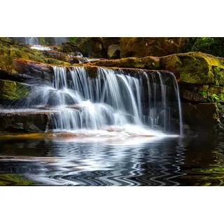 Papermoon »Kleiner Waserfall in Wald«, bunt,