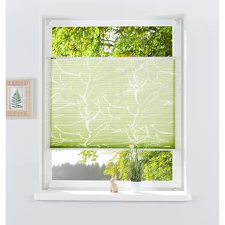 my home Plissee »Anna« Lichtschutz ohne Bohren verspannt Ästemotiv, Bestseller mit über 500 4,5-Sterne-Bewertungen, Klemmträger, grün