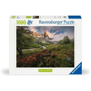 Ravensburger Puzzle 12000074 - Malerische Stimmung im Vallée - 1000 Teile Puzzle für Erwachsene und Kinder ab 14 Jahren, Puzzle mit Landschaft und Natur