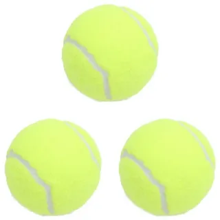 Lustiges Tennis Haustier Liefert Tennis Spielzeug für Hund