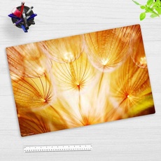 Cover-your-desk Schreibtischunterlage Vinyl Pusteblume im Sonnenglanz, 60 x 40 cm