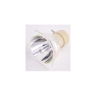 Nackte Philips Lampe PHILIPS UHP 190/160W 0.8 E20.9 UHP190160W08E209