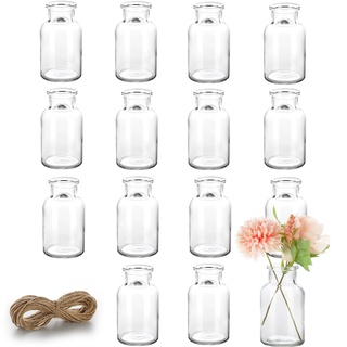 Lannvan Mini Glasvasen - 15er Set Kleine Vasen für Tischdeko Hochzeit - Deko Vasen Set mit Juteschnur - Kleine Glasvasen für Tischdeko - Verdicktes Anti Fall Glasvase - Spülmaschinenfest