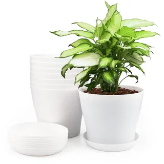 KINGLAKE 8 Stück 14cm Blumentöpfe Pflanztöpfe Klein, übertopf Pflanztopf Anzucht Plastik mit Untersetzer, Blumentopf kunststoff Set, Topf Kleine Flower Pot für Pflanzen Kakteen Sukkulenten-Weiss
