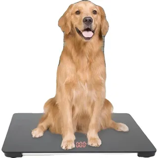 Viehwaage, 100 kg Tragfähigkeit, Tara-Funktion, Auto-Lock-Funktion