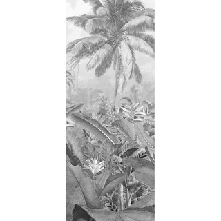 KOMAR Fototapete Vlies Amazonia Black and White Panel 100 x 250 cm