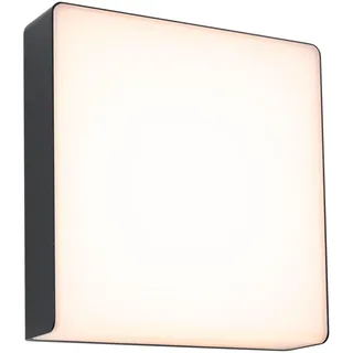 Paulmann Außenwandleuchte Aluminium 250x97mm 1 Stk. Anthrazit
