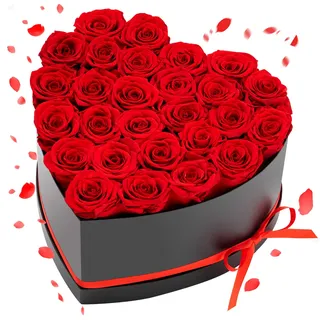 VEVOR 27 Stk. Ewige Rosen in Herzform Box, konservierter Blumenstrauß, Blumen Geschenkbox für ihre Frau, Mütter, Liebespartner, zur Hochzeit, zum Muttertag, Valentinstag, Weihnachten, Rot