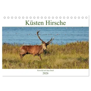 Küsten Hirsche - Rotwild auf dem Darß (Tischkalender 2026 DIN A5 quer), CALVENDO Monatskalender: Hirsch-Brunft an der Ostsee. (CALVENDO Tiere)