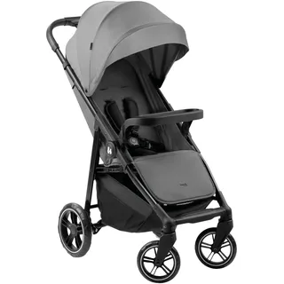 hauck Shop N Care Grau