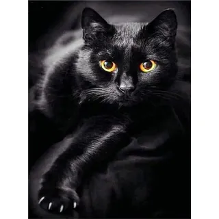 Pracht Creatives Hobby Diamond Painting Set, Bild mit Motiv Schwarze Katze und Zubehör, Größe ca. 35 x 25 cm, Bastelset zum Malen mit Glitzersteinchen für Kinder ab 5 Jahren