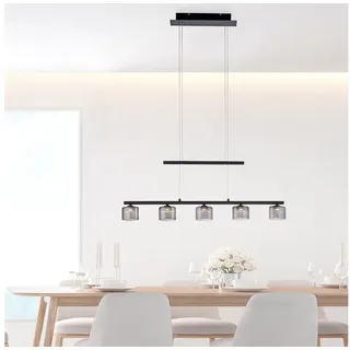 Paul Neuhaus Pendelleuchte Hydra (2700 lm)