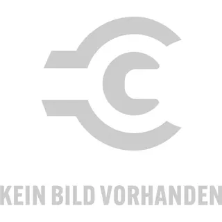 Reflex Ausdehn.gefäss N 800 L 6bar 120°C grau