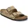 Arizona Birko-florbc latte cream (1704) Schmal 39