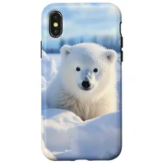 Hülle für iPhone X/XS Eisbär, arktischer Nordpol, Alaska-Schnee, niedliche Eisbären
