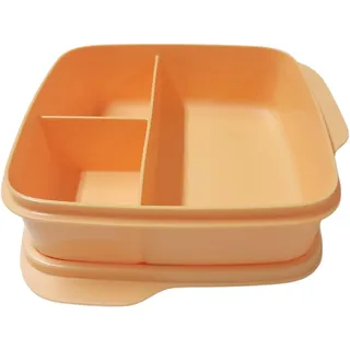 Tupperware to Go Lunchbox Clevere Pause 550ml orange mit Trennwand Eco+ Schule Brotdose mit Abteilung