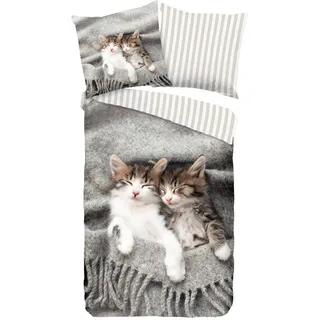 Pure Jugendbettwäsche Snooze grau Textil, Katze, 135x200 cm bügelleicht, Schlaftextilien, Bettwäsche Kinderbettwäsche