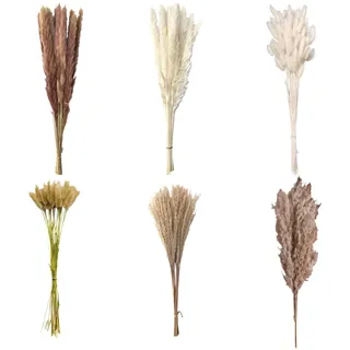 120 Stück Pampasgras Getrocknet Getrocknete Pampasgras-Deko mit Weißen Hasenschwanz Getrockneten Blumen Natürliche Trockenblumen Deko DIY Trockene Blüten Strauß, für Blumen Arrangements Heim Decor