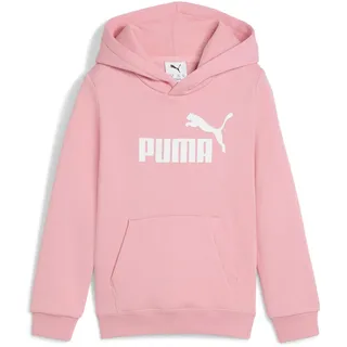 Puma Essentials No. 1 Logo Hoodie FL PS