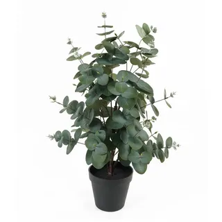 Present Time Künstlicher Eukalyptus im Topf eden, 54 cm