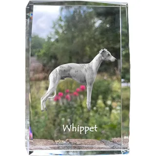 Whippet, Kleiner Englischer Windhund - Kristall mit einem Hundebild, Bild im Glas, moderne Ausstellung des Art-Dog-Bildes.