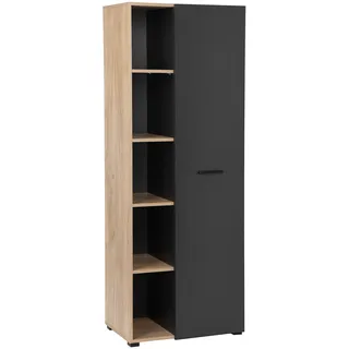 Places of Style Aktenschrank »Moid, moderner Mehrzweckschrank,«, Maße: 64,5x41,5x175 cm, 5 Fächer mit viel Stauraum, braun