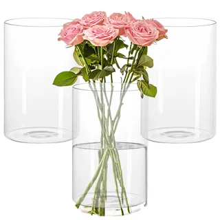 3 Stück Glasvasen für Tischdeko, 15cm Hohe Glasvase Zylinder, Glaszylinder für Kerzen, Glaszylinder Vase, Blumenvase Glas, Zylindervasen für Vasen, Hochzeit, Blumen, Blockkerzen, Muscheln Dekor