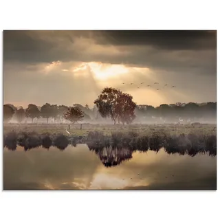 Artland Glasbild "Der Herbst in seiner stillen Einsamkeit" Gewässer 1 Stk. tlg. in verschiedenen Größen, farbe bild(er): natur