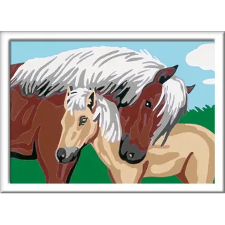 Ravensburger Malen nach Zahlen 10 St. mehrfarbig