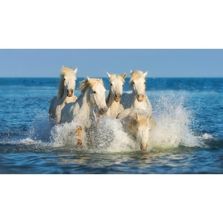 Papermoon Fototapete »PFERDE-CAMARGUE GALLOP STRAND MEER TIERE KÜSTE PROVENCE«, bunt